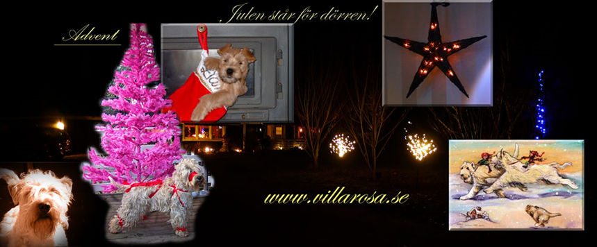 Banner-advent-villarosa.se.jpg