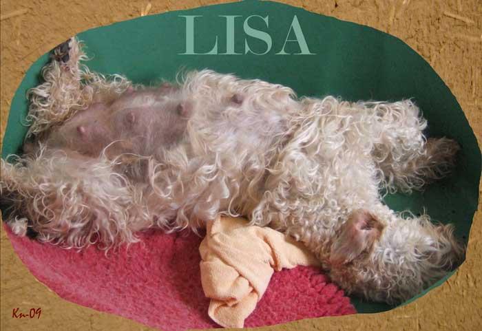 lisa-pregnant-09