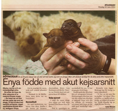Enya-i-Aftonbladet.jpg