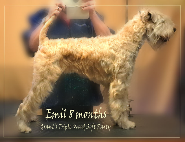 Emil-stack-8-months.jpg