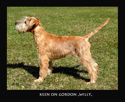 Keen-On-Gordon-Willie-45mo.jpg