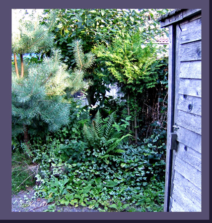 At-the-garden-shed.jpg