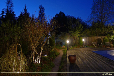 garden-in-evening-light3.jpg