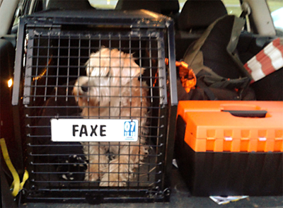 Faxe-i-bilen2015-01-03.jpg