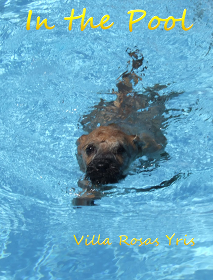 Yris-in-the-pool-2.jpg